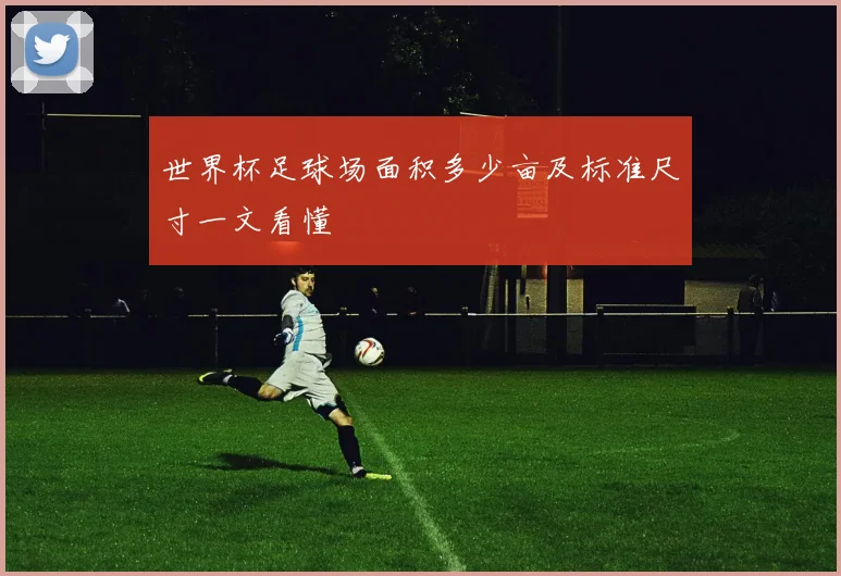 世界杯足球场面积多少亩及标准尺寸一文看懂