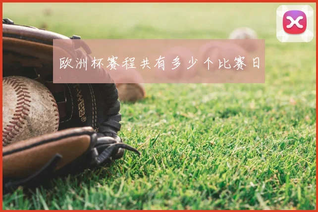 欧洲杯赛程共有多少个比赛日