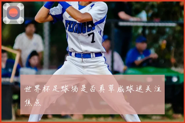 世界杯足球场是否真草成球迷关注焦点