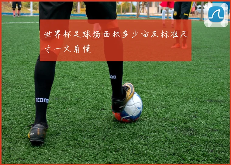 世界杯足球场面积多少亩及标准尺寸一文看懂