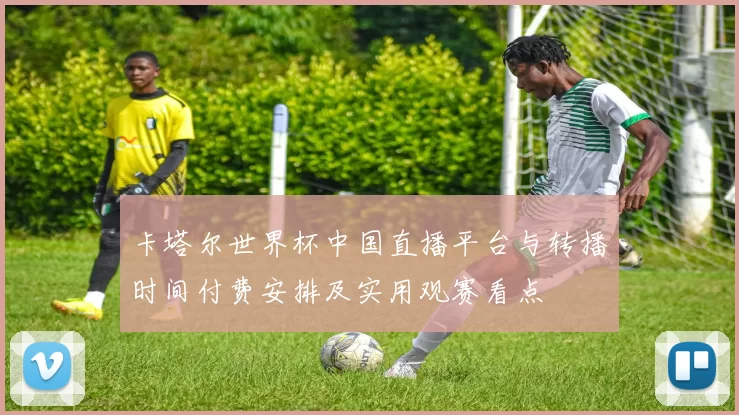 卡塔尔世界杯中国直播平台与转播时间付费安排及实用观赛看点
