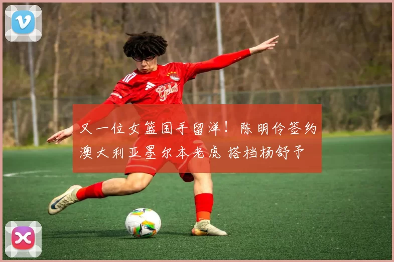 又一位女篮国手留洋！陈明伶签约澳大利亚墨尔本老虎 搭档杨舒予